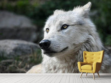 Load image into Gallery viewer, Photo Wallpaper The lonely wolf