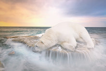 Load image into Gallery viewer, Photo Wallpaper The polar bear and the sea