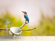 Load image into Gallery viewer, Photo Wallpaper The kingfisher