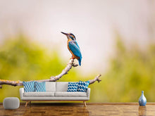 Load image into Gallery viewer, Photo Wallpaper The kingfisher