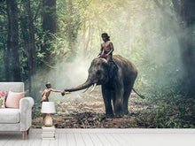 Load image into Gallery viewer, Photo Wallpaper The elephant at work