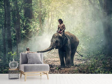 Load image into Gallery viewer, Photo Wallpaper The elephant at work