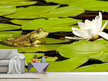 Load image into Gallery viewer, Photo Wallpaper The frog and the water lily