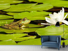 Load image into Gallery viewer, Photo Wallpaper The frog and the water lily