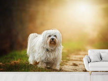 Load image into Gallery viewer, Photo Wallpaper The Havanese