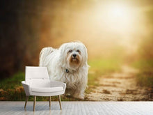 Load image into Gallery viewer, Photo Wallpaper The Havanese