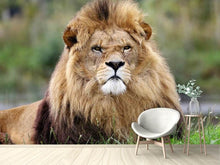 Load image into Gallery viewer, Photo Wallpaper The king of animals