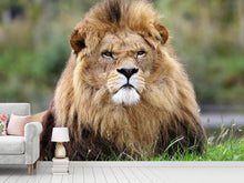 Load image into Gallery viewer, Photo Wallpaper The king of animals