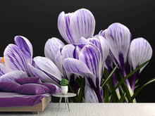 Load image into Gallery viewer, Photo Wallpaper The crocus
