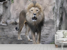 Load image into Gallery viewer, Photo Wallpaper The lion and his kingdom