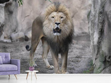 Load image into Gallery viewer, Photo Wallpaper The lion and his kingdom