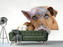 Load image into Gallery viewer, Photo Wallpaper The funny pig dog