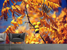 Load image into Gallery viewer, Photo Wallpaper The walnut XL