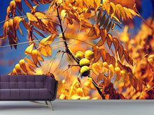 Load image into Gallery viewer, Photo Wallpaper The walnut XL