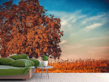 Load image into Gallery viewer, Photo Wallpaper The nut Tree