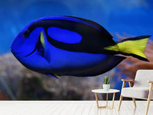 Load image into Gallery viewer, Photo Wallpaper The pallet doctorfish