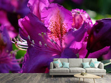 Load image into Gallery viewer, Photo Wallpaper The rhododendron