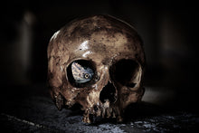 Load image into Gallery viewer, Photo Wallpaper The skull