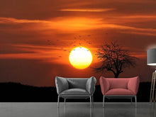 Load image into Gallery viewer, Photo Wallpaper The sunset on the horizon