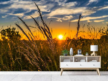 Load image into Gallery viewer, Photo Wallpaper The sunset on the field