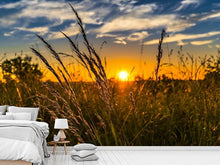 Load image into Gallery viewer, Photo Wallpaper The sunset on the field