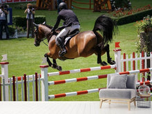Load image into Gallery viewer, Photo Wallpaper The show jumper
