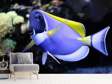 Load image into Gallery viewer, Photo Wallpaper The Weisskehl doctorfish fish