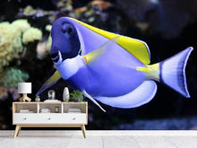 Load image into Gallery viewer, Photo Wallpaper The Weisskehl doctorfish fish