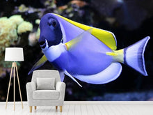 Load image into Gallery viewer, Photo Wallpaper The Weisskehl doctorfish fish