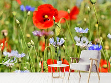 Load image into Gallery viewer, Photo Wallpaper The wild poppy XL