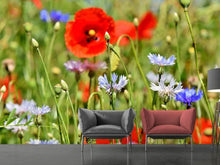Load image into Gallery viewer, Photo Wallpaper The wild poppy XL