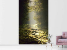 Load image into Gallery viewer, Photo Wallpaper The wild way