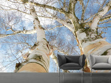 Load image into Gallery viewer, Photo Wallpaper The 2 birches