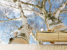 Load image into Gallery viewer, Photo Wallpaper The 2 birches