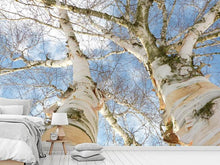 Load image into Gallery viewer, Photo Wallpaper The 2 birches