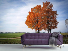 Load image into Gallery viewer, Photo Wallpaper The 3 trees