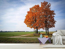 Load image into Gallery viewer, Photo Wallpaper The 3 trees