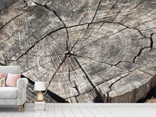 Load image into Gallery viewer, Photo Wallpaper The tree rings