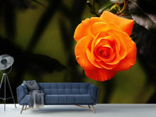 Load image into Gallery viewer, Photo Wallpaper The blossom of the rose