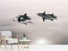 Load image into Gallery viewer, Photo Wallpaper The dolphins