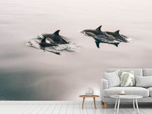 Load image into Gallery viewer, Photo Wallpaper The dolphins
