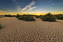 Load image into Gallery viewer, Photo Wallpaper The drought