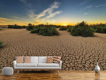 Load image into Gallery viewer, Photo Wallpaper The drought