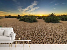 Load image into Gallery viewer, Photo Wallpaper The drought