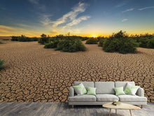 Load image into Gallery viewer, Photo Wallpaper The drought