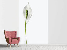 Load image into Gallery viewer, Photo Wallpaper The peace lily