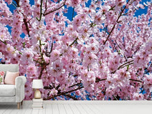 Load image into Gallery viewer, Photo Wallpaper The Japanese cherry