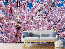 Load image into Gallery viewer, Photo Wallpaper The Japanese cherry