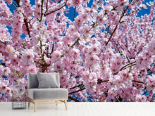 Load image into Gallery viewer, Photo Wallpaper The Japanese cherry