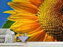 Load image into Gallery viewer, Photo Wallpaper The bud Close up